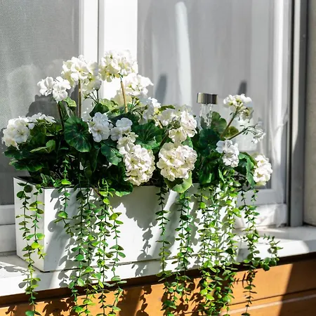 Konduktorska Z Parkingiem I Ogrodkiem - W Spokojnej Dzielnicy By Renters Lejlighed Wrocław