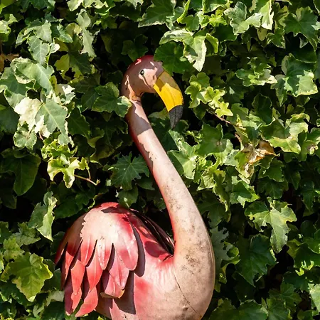 Lejlighed Konduktorska Z Parkingiem I Ogrodkiem - W Spokojnej Dzielnicy By Renters *